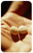 Contraceptives