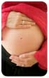 Pregnancy
