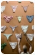 Sex Offenders